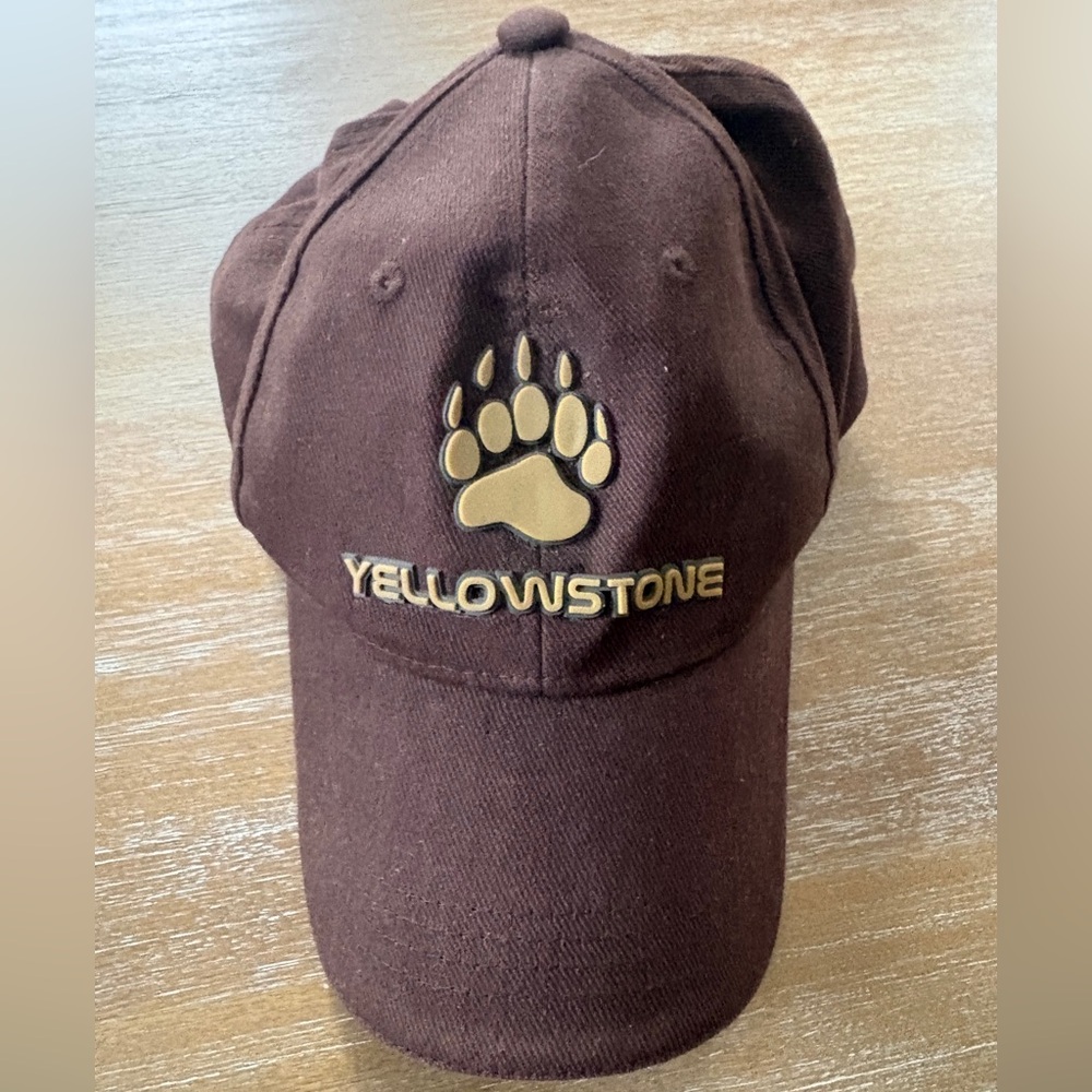 Yellowstone Brown Hat